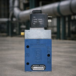 Valves & Repair Kits